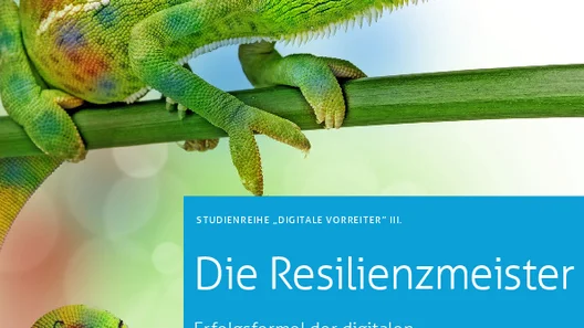 Die Resilienzmeister - Erfolgsformel der digitalen Vorreiter im Mittelstand